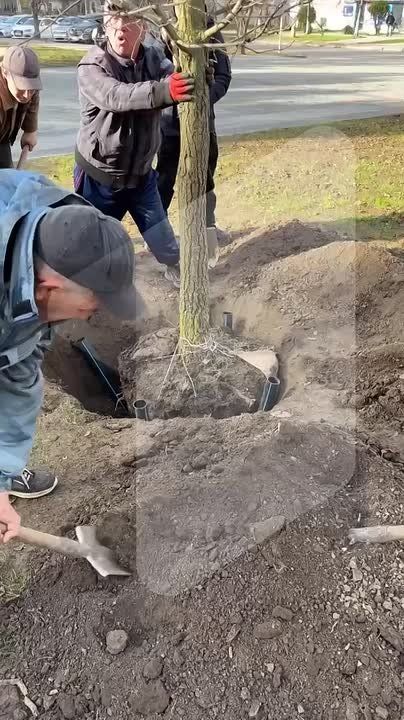 Сцена из «Руслана и Людмилы» – у центральной библиотеки в Тирасполе