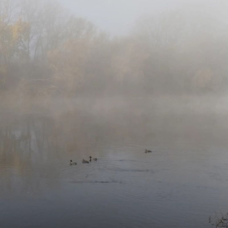 Тирасполь. Типичный радиационный туман - туман, образовавшийся из-за охлаждения у земной поверхности