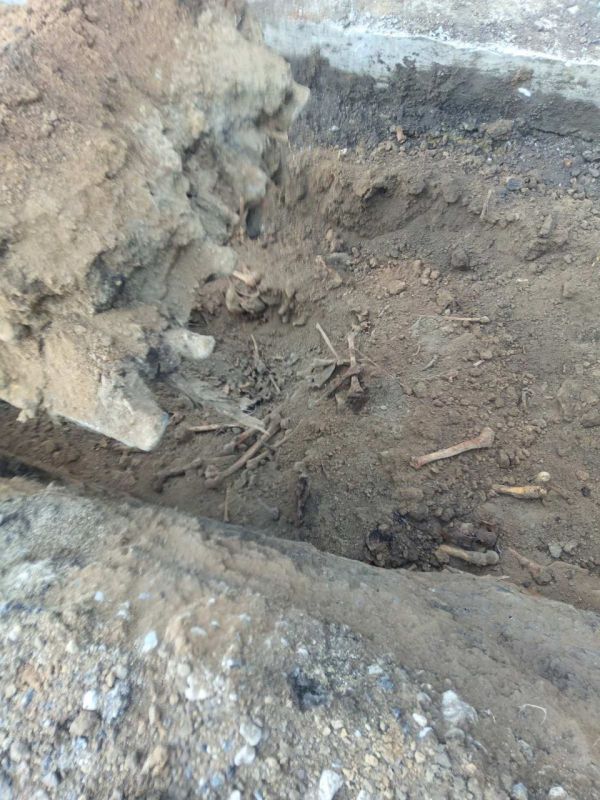 В Тирасполе нашли массовое захоронение предположительно времён Великой Отечественной