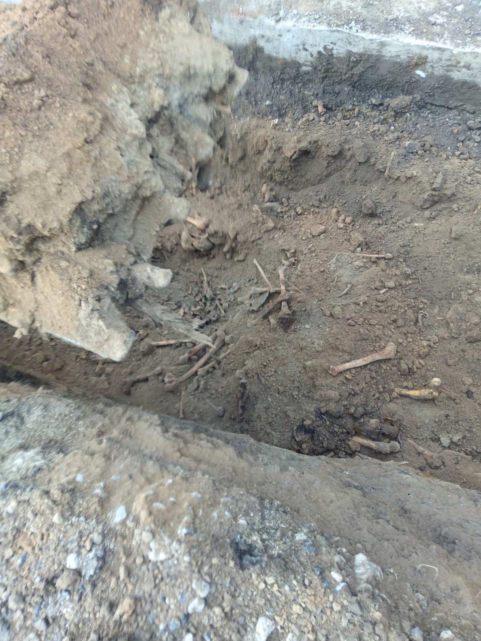 В Тирасполе обнаружено массовое захоронение времён Великой Отечественной войны