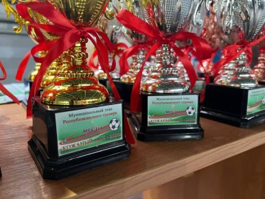 В городе Рыбница завершился муниципальный этап республиканского турнира «Кожаный мяч»