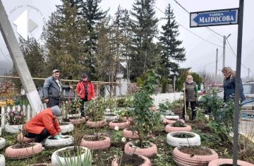 В Дубоссарах продолжаются работы по озеленению города и района