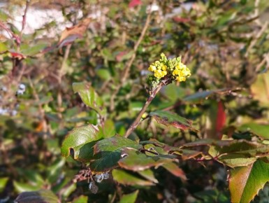     ,               :      ,     