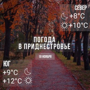 Днём – до +12°С. Местами дожди