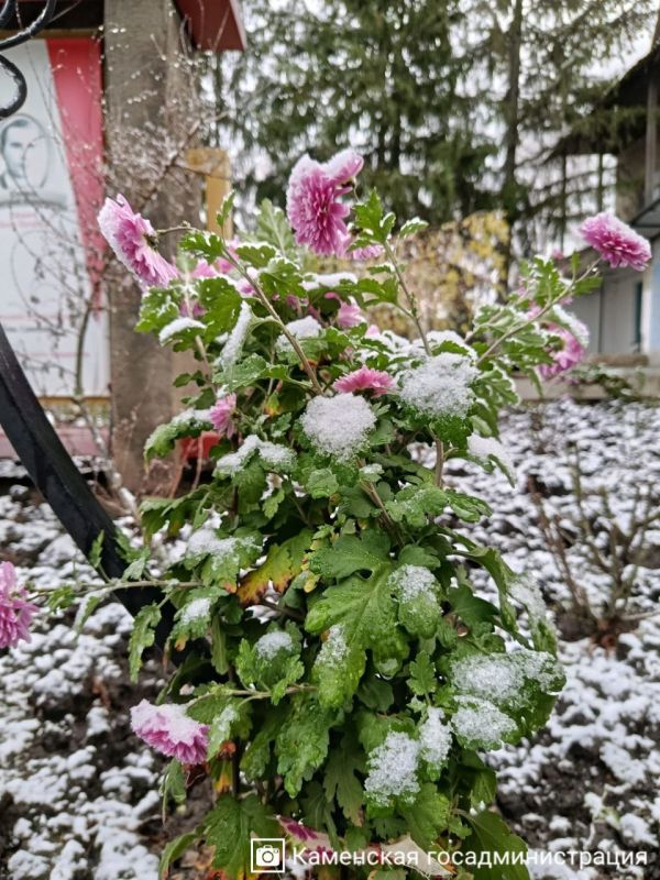 На самом севере Приднестровья, в Каменке, тоже запорошило