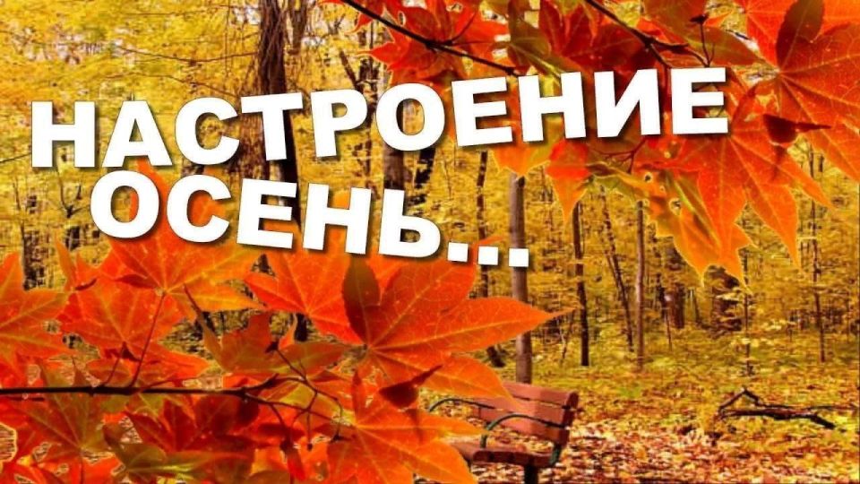 19 ноября – чем так особенен этот ноябрьский день