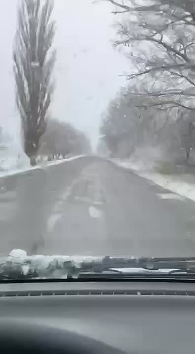 Белая пелена окутала деревья и поля в Григориополе