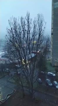 Еще кадры первого снега в Рыбнице от нашего корреспондента