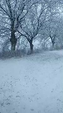 А это трасса в районе Рыбницы