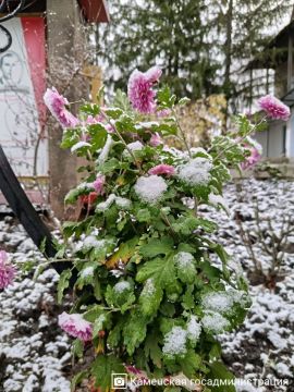 На самом севере Приднестровья, в Каменке, тоже запорошило