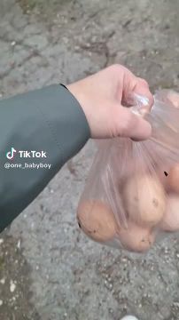 На севере Молдовы вводят санитарные ограничения для предотвращения вспышек птичьего гриппа