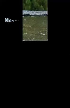 Госавтоинспекция предупреждает о повышенной опасности на дорогах в дождливую погоду