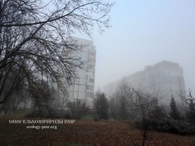 Штормовое предупреждение. Сегодня, 20 ноября, во второй половине дня и вечером, 21 ноября ночью и утром по республике ожидается местами туман с видимостью 200-500 метров