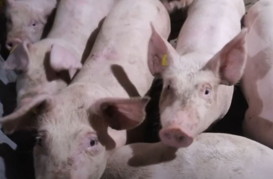 � ������� ��� 2 ������� ����������� ���� ������, �������� ���������� ���: