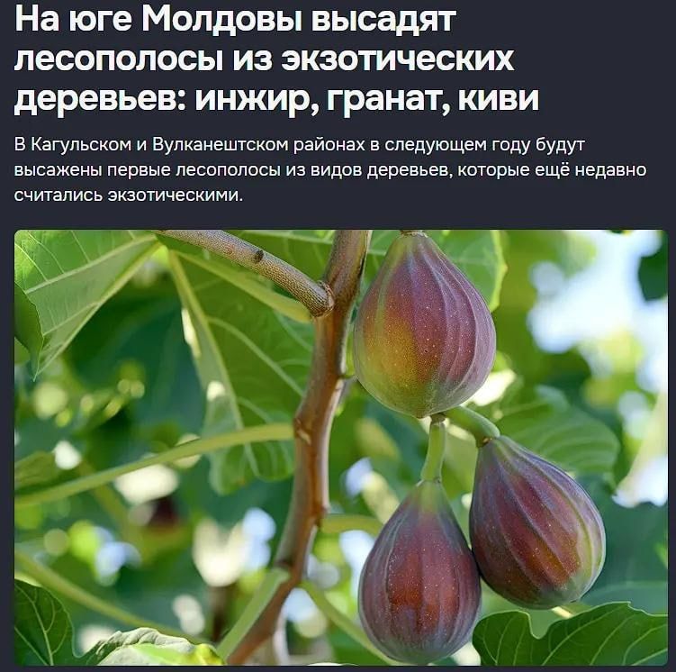 � ���������� � ������������� ������� ������� � ��������� ���� ����� �������� ������ ���������� �� ������, ������, ����