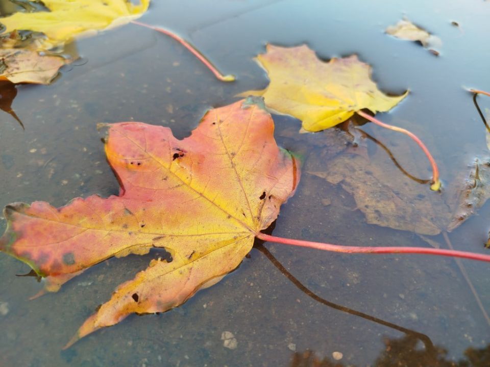 � ������������� ������������ �������� ������