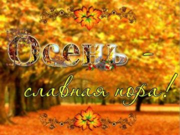 21 ноября – этот пятничный календарный листок похож на винегрет