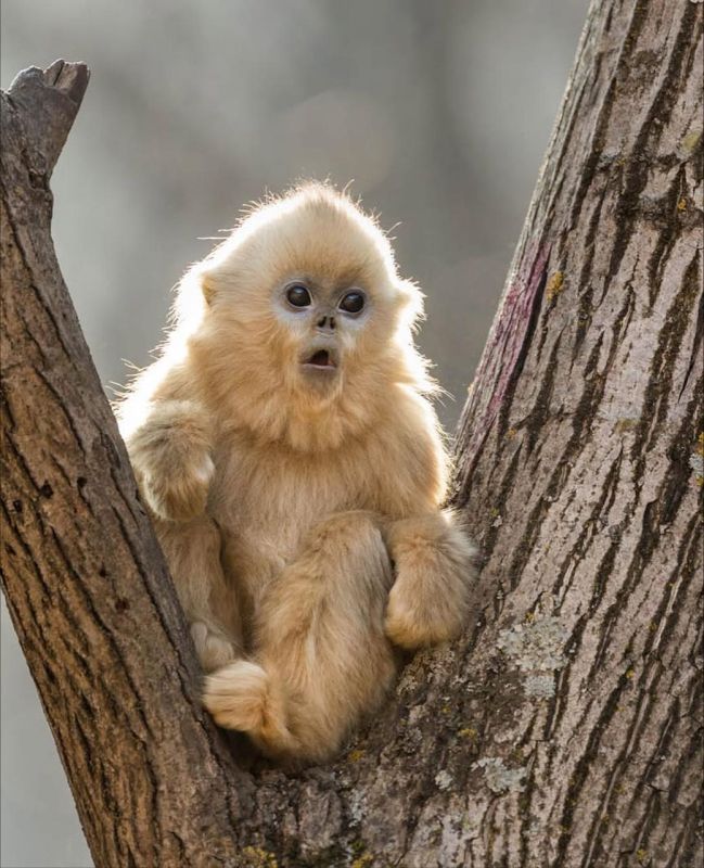 �������� ������-���� ������ ��������