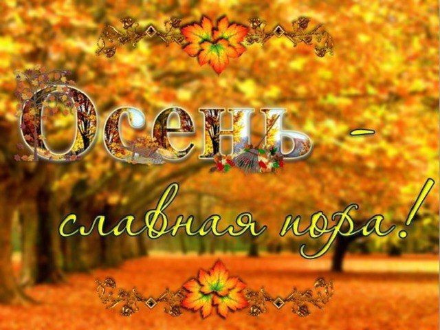 21 ноября – этот пятничный календарный листок похож на винегрет