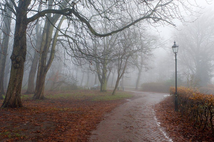 �� ��������� ������ � ������������� ��������� �� +13�� � ��� �������