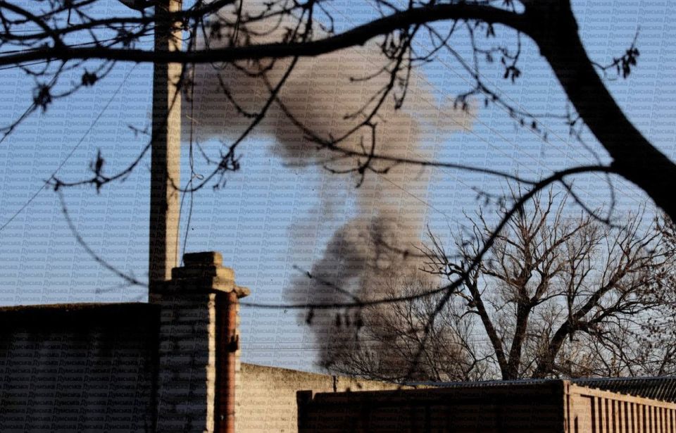 В Одессе утро начинается не с кофе, а с налёта «Гераней» и «Гербер»