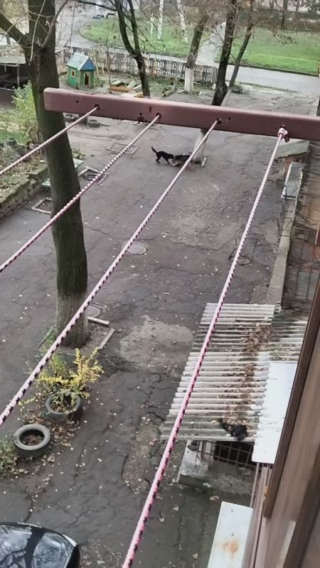 Тирасполь, Луначарского 11