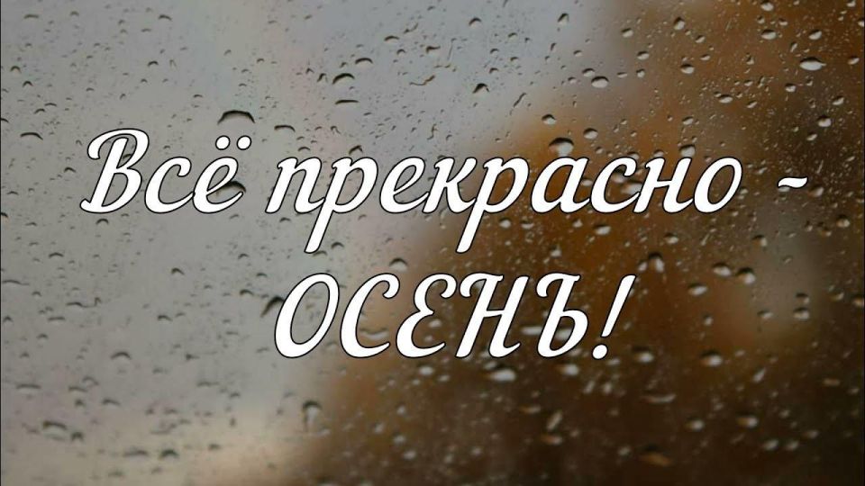 22 ноября – настоящий компот из торжеств