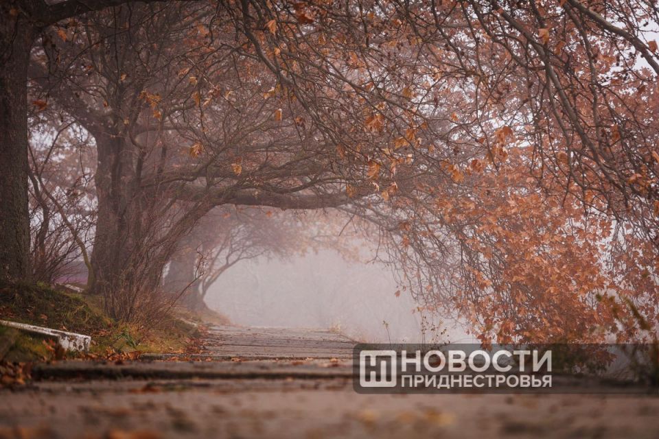 ��������� ��������, ��� ����� ����������� ������� ���� ����