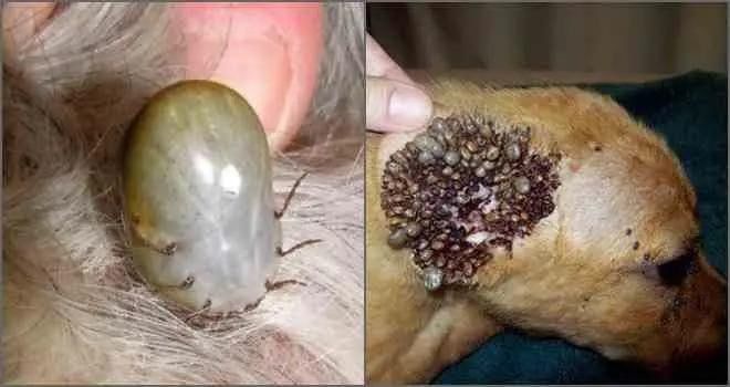 ���������� ��������������� ���������� ������� ����� �������� ������ � ���� ���