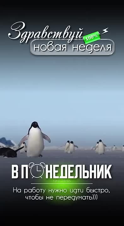 Будим своё настроение !