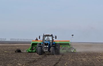 95% озимых посеяли в Приднестровье, доложили президенту на селекторном совещании