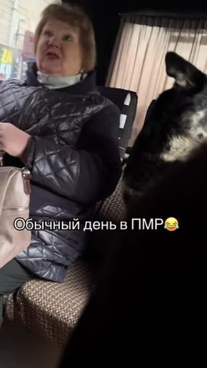  ,     20-  ,       40     