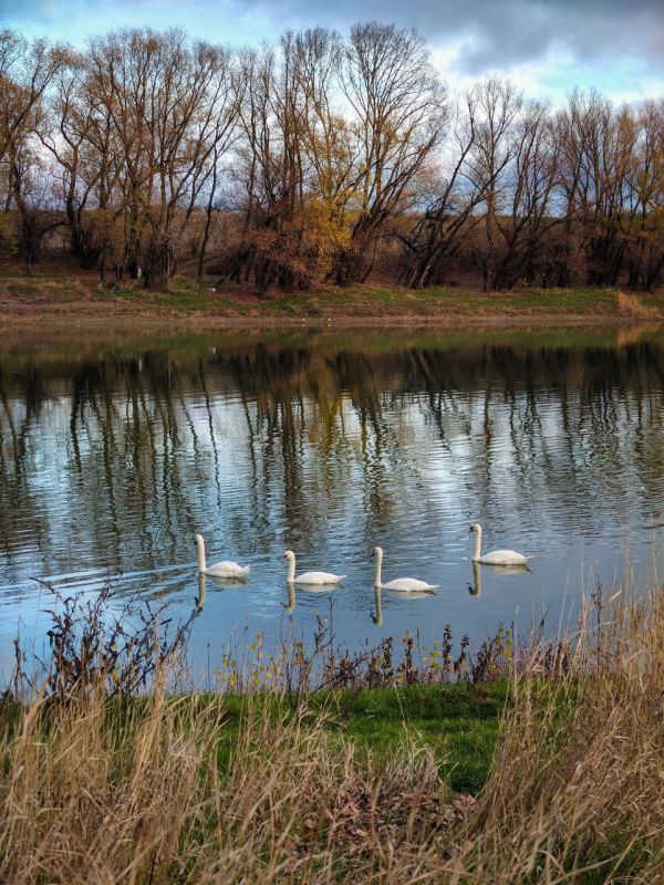 ����� ������� �� ������ ������������ ������ ��������� ������� ��������