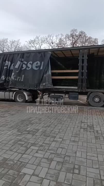 В Каменку привезли новогоднюю ель