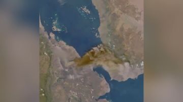    ,    ,   African News