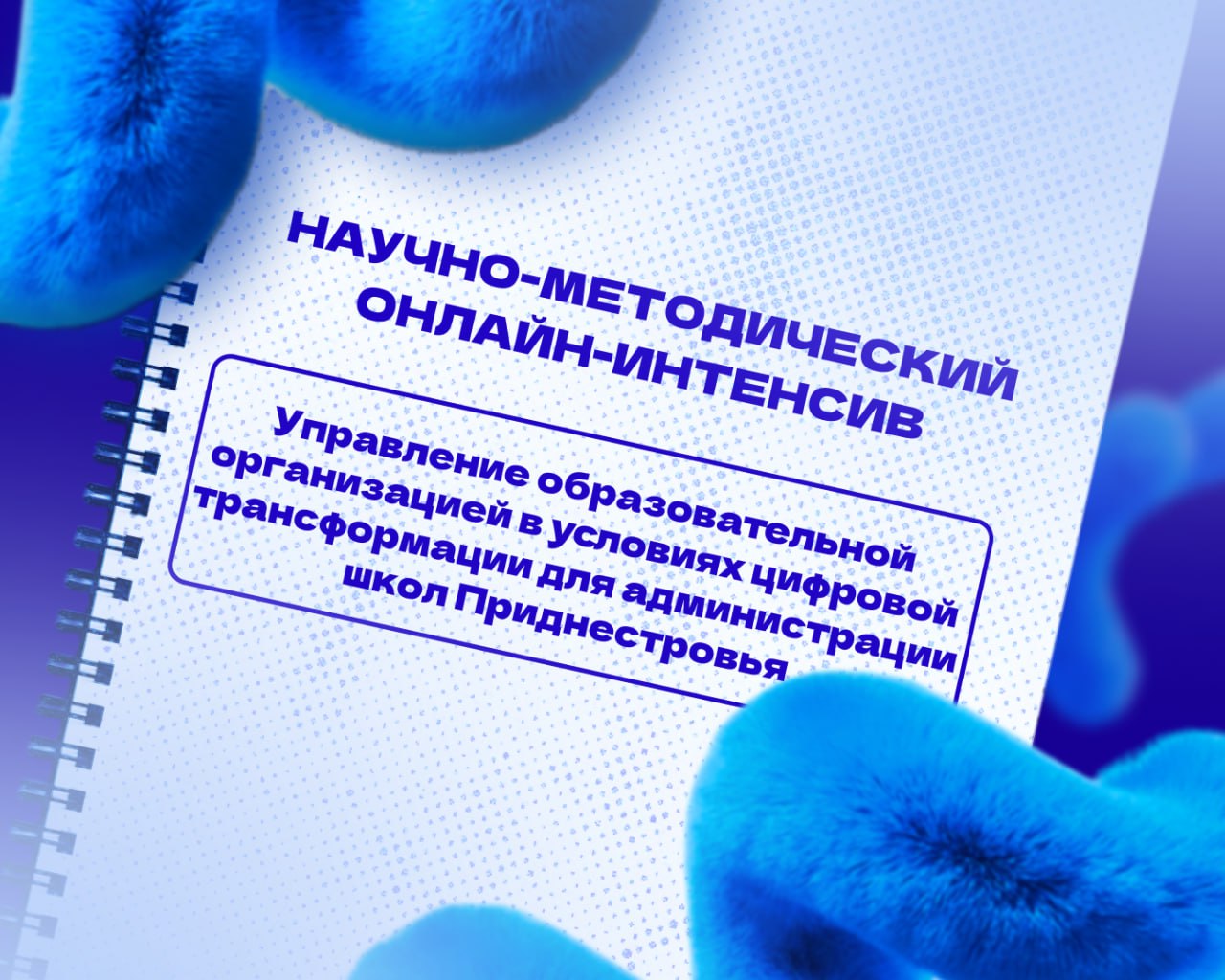 Мининский университет провел научно-методический онлайн-интенсив для 30 директоров школ, колледжей и техникумов из Приднестровья
