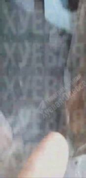 В Рени Одесской области сверхразум набухал своих курей