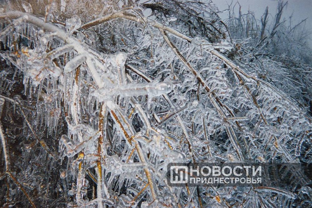 Обледенение 2000 года. Фотографии ИА «Новости Приднестровья»