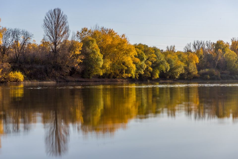 Ҹ���� ������ ���� ������� � �������������