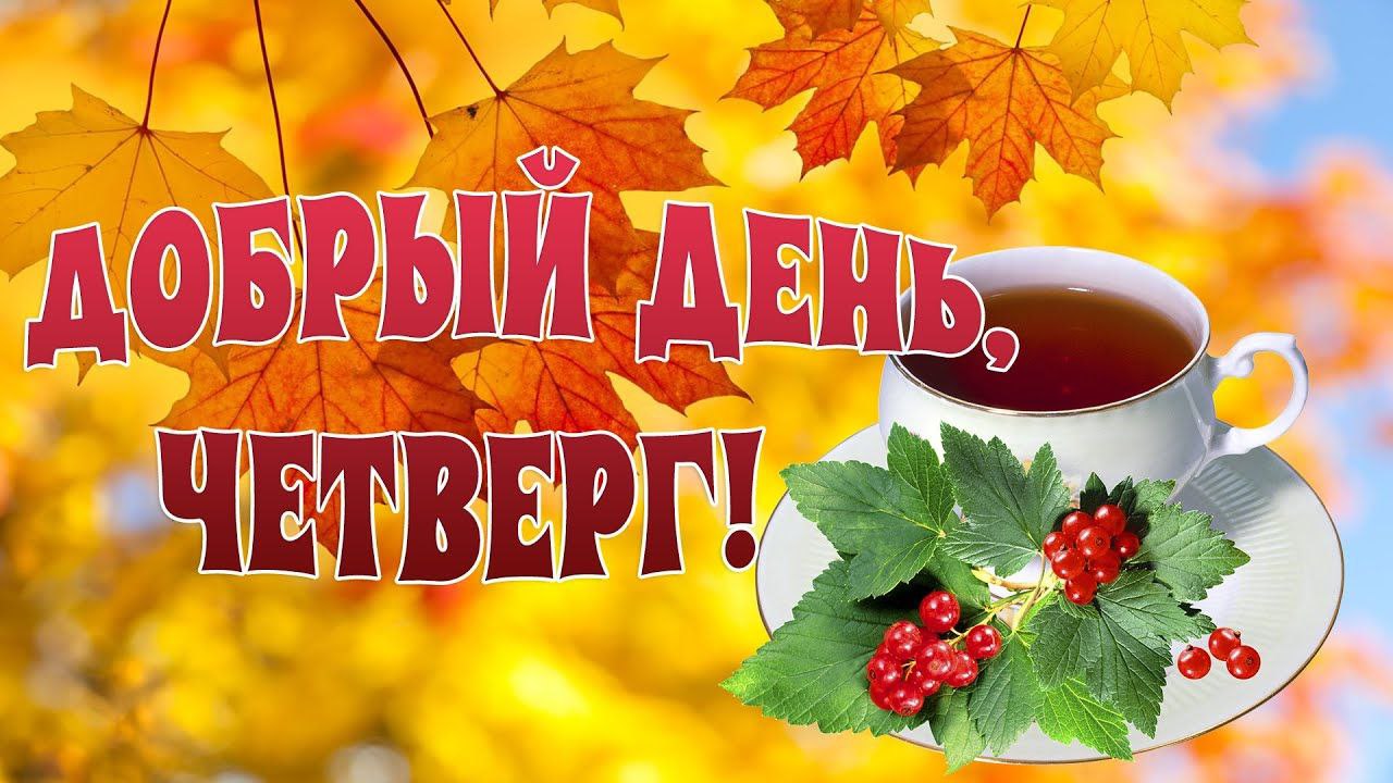 27 ноября – самый музыкальный, защитный и колючий день ноября