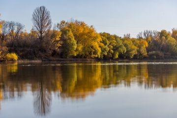 Тёплый ноябрь бьёт рекорды в Приднестровье