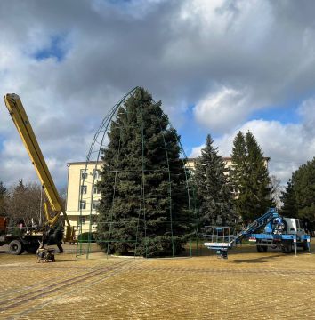 В Рыбнице началась подготовка к новогодним праздникам