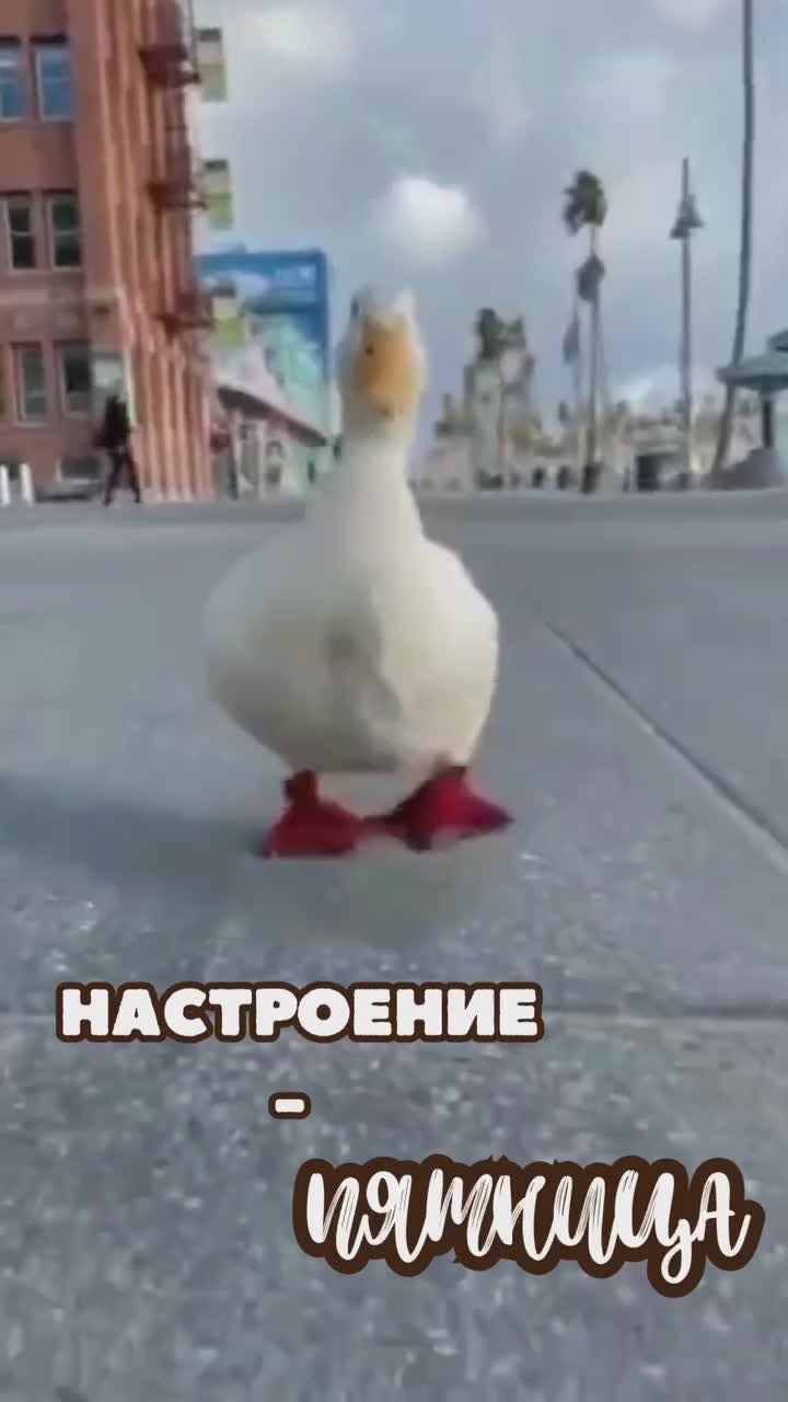 Завтра выходной