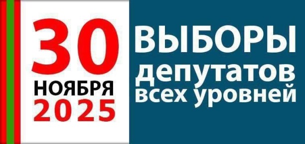 30 ноября в Приднестровье пройдет единый день голосования