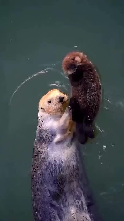 Сегодня — День счастливого человека