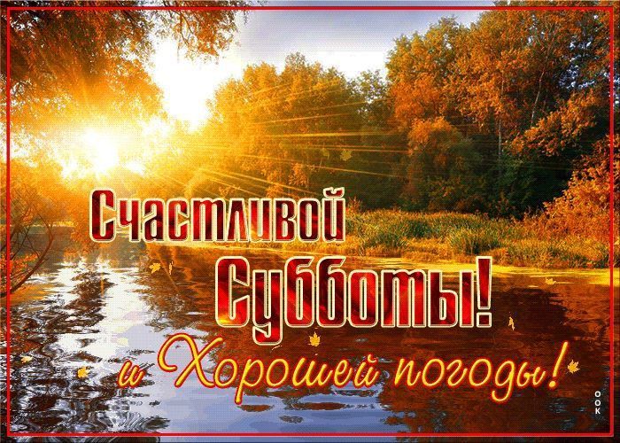 29 ноября – настоящий винегрет праздников