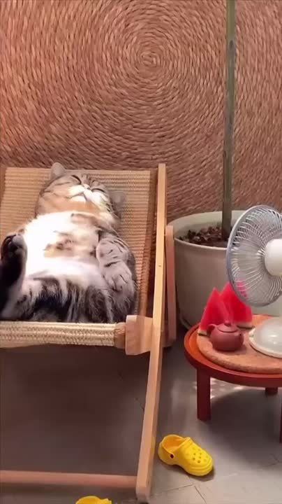 Утро выходного дня)