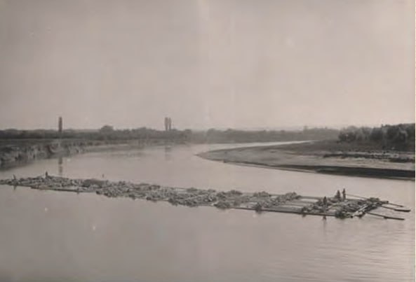 Сплав леса по Днестру. Начало XX века