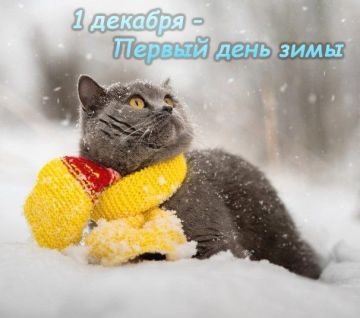 1 декабря, в первый день зимы