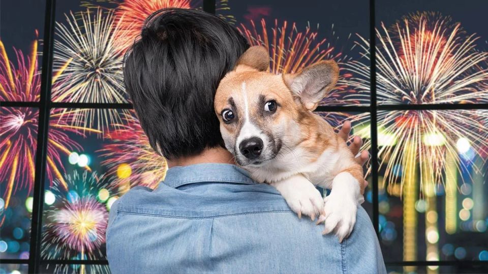 � ������� ����� ��������� ���������� �� ������ ���������